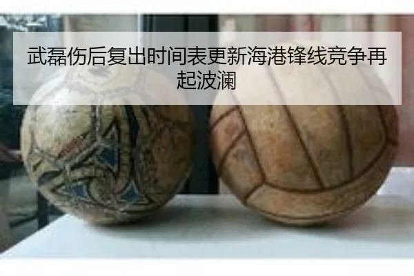 武磊伤后复出时间表更新海港锋线竞争再起波澜